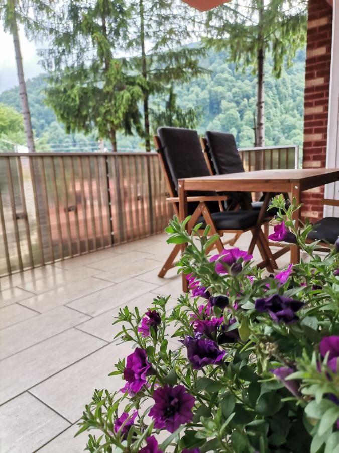 Criss Apartament Sinaia Extérieur photo